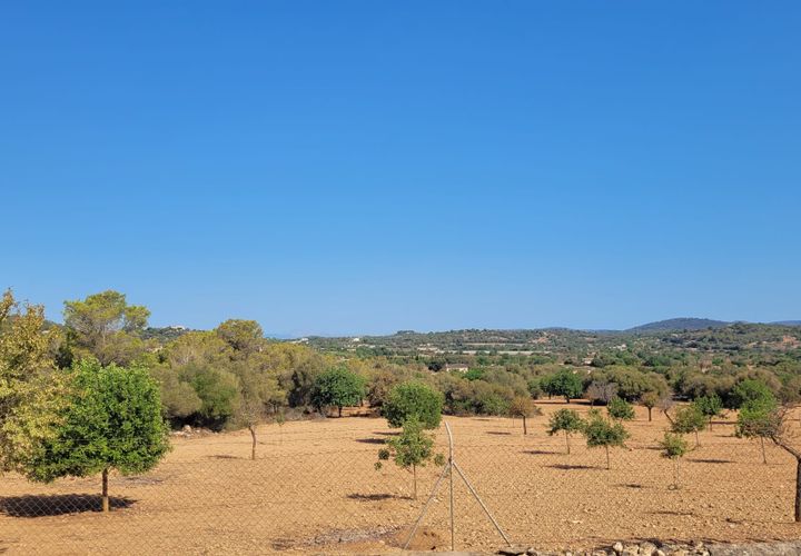 Helårsgrund i Manacor, Mallorca, Manacor - € 390.000 | Ref: 1706 - foto 1